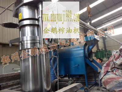 鄭州企鵝花生榨油機(jī)發(fā)貨現(xiàn)場(chǎng)