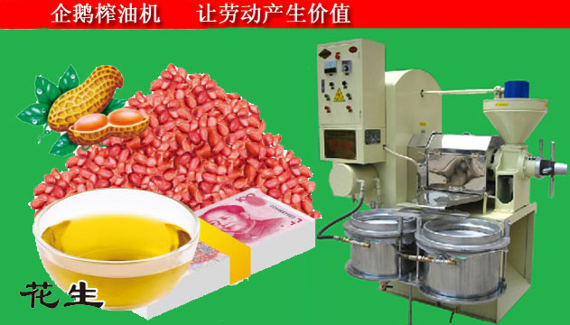花生榨油機(jī)