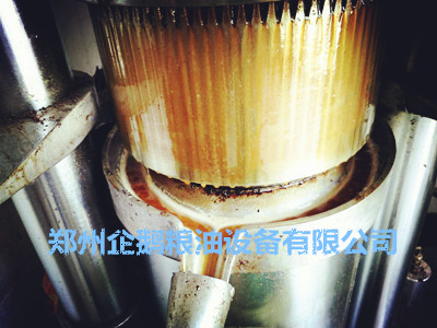 榨油機(jī)最容易出現(xiàn)哪些問(wèn)題(圖1)